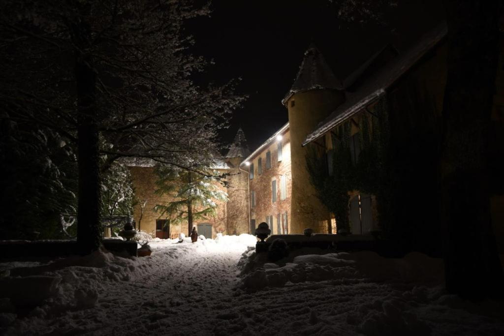 Chateau De Passieres Chichilianne Екстер'єр фото
