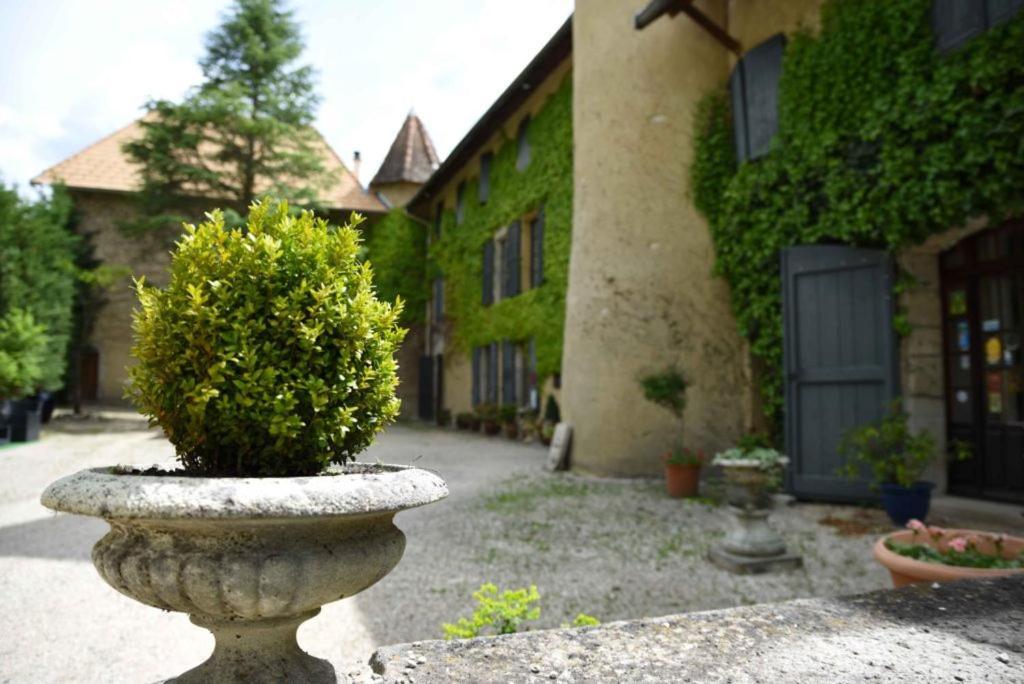 Chateau De Passieres Chichilianne Екстер'єр фото